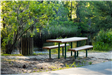 picnic table with view of pond