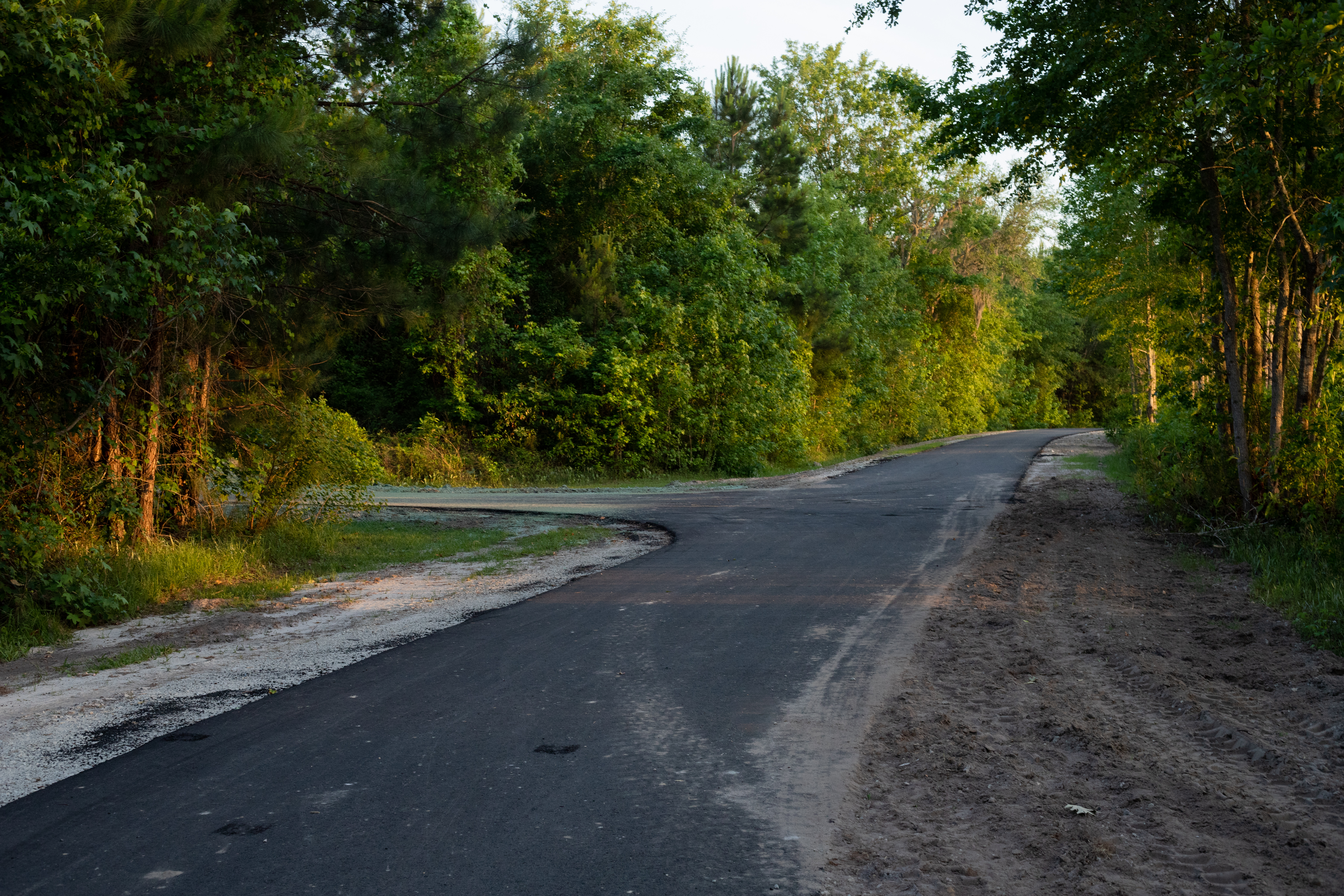 paved walking trail in Sterling Creek Park